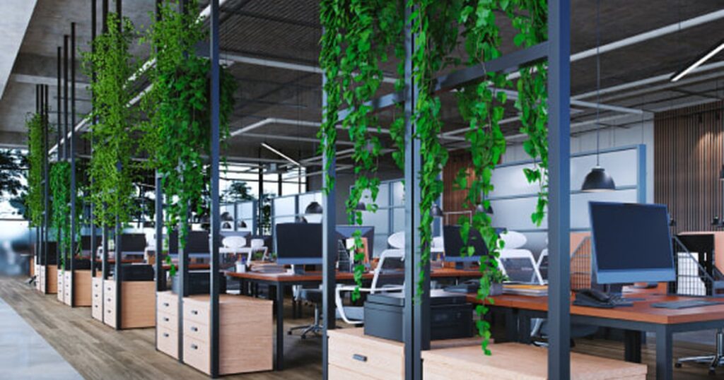 Biophilic Elements on a Budget